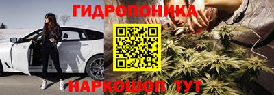 молекула духа Кулебаки