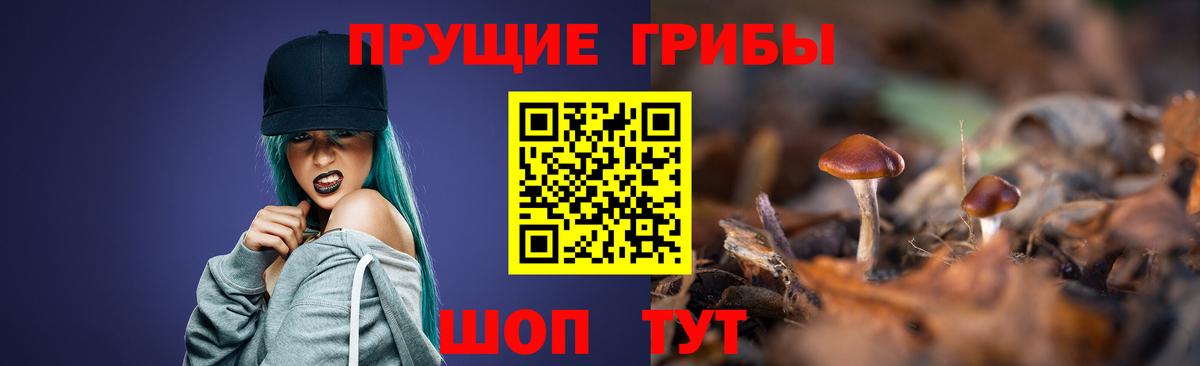 Псилоцибиновые грибы мицелий Арсеньев